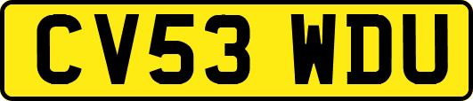 CV53WDU