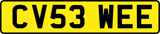 CV53WEE