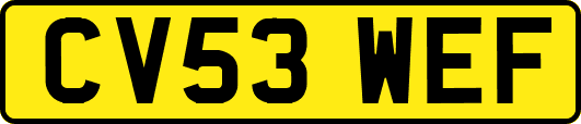 CV53WEF