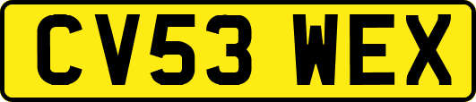 CV53WEX