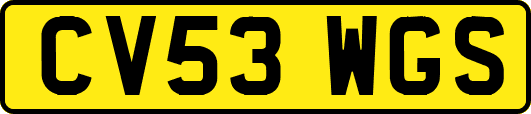 CV53WGS