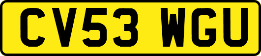 CV53WGU