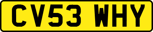 CV53WHY