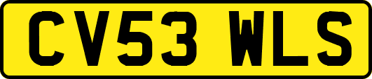 CV53WLS
