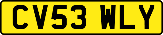CV53WLY