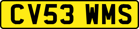 CV53WMS