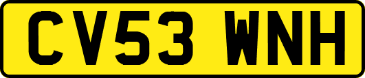 CV53WNH