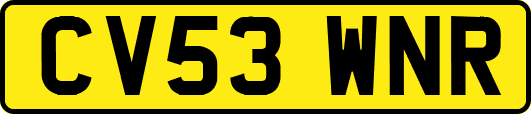 CV53WNR