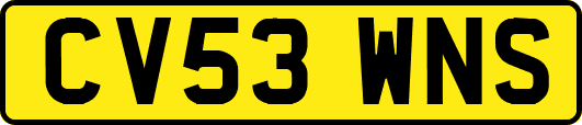 CV53WNS