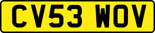 CV53WOV