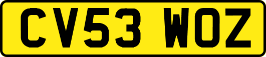 CV53WOZ