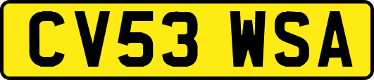 CV53WSA