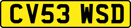 CV53WSD