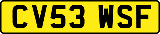 CV53WSF