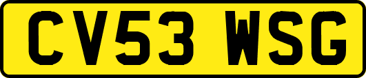CV53WSG