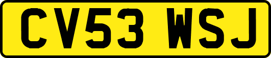 CV53WSJ