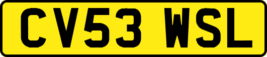CV53WSL