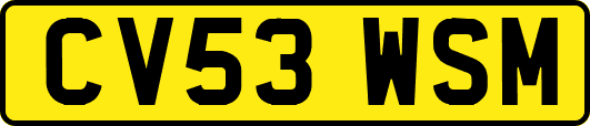 CV53WSM