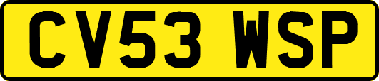 CV53WSP