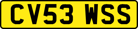 CV53WSS