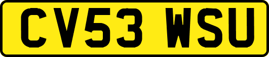 CV53WSU