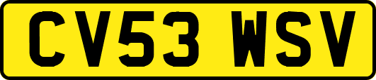 CV53WSV