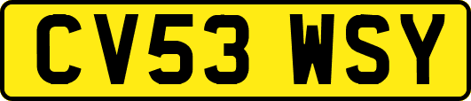 CV53WSY