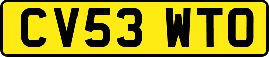 CV53WTO