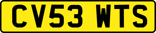 CV53WTS