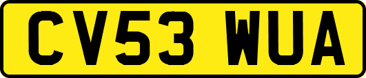 CV53WUA