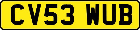 CV53WUB
