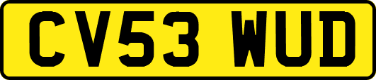 CV53WUD