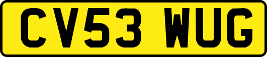 CV53WUG