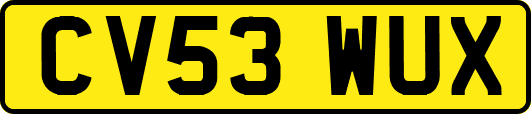 CV53WUX