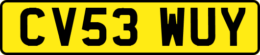CV53WUY