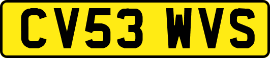 CV53WVS