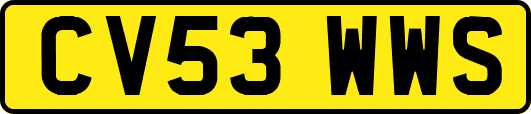 CV53WWS