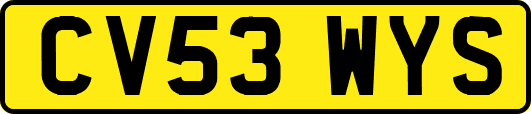 CV53WYS