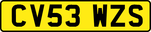 CV53WZS