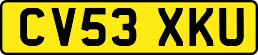 CV53XKU