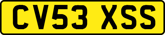 CV53XSS