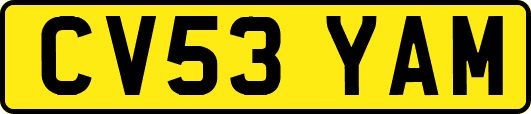 CV53YAM