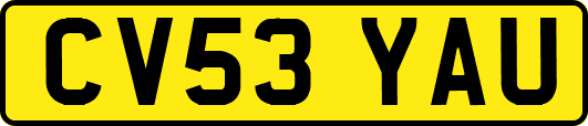 CV53YAU