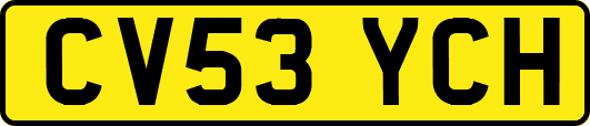CV53YCH
