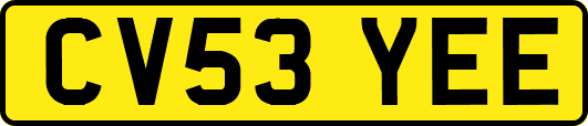 CV53YEE