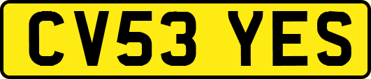 CV53YES