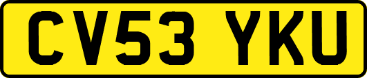 CV53YKU