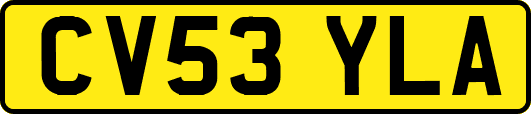 CV53YLA