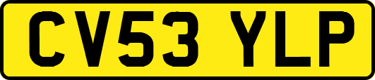 CV53YLP