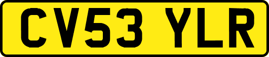 CV53YLR